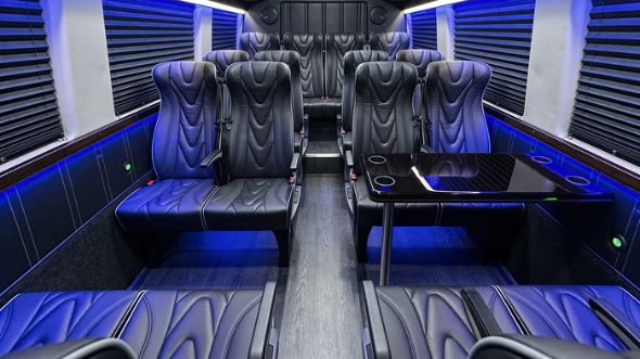 20 passenger sprinter van interior madison